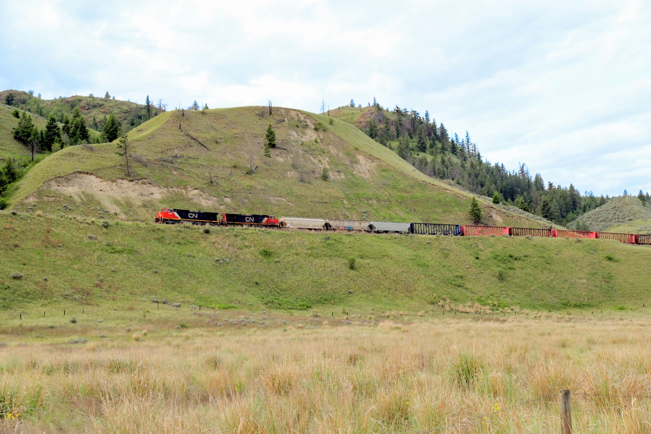 The CN Vernon turn this morning is headed by a pair of Dash 9-44CWs. It has just cleared the shared CP trackage coming out of Kamloops and is slogging its way round the mountain on CN's Okanagan Sub. The first 5 miles or so is at a grade of over 2% and my estimate was it was working flat out to make only 8 to 10 mph.