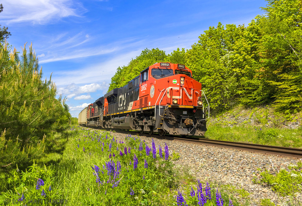 Shiny AC 3862 leads train 406, wasting no time, as they cruise down hill into Rothesay, New Brunswick, on a beauty of a Saturday in June.