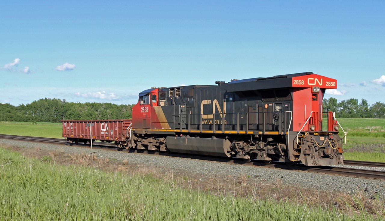 クラシック Islensk Pjodlog Railpictures.ca - colin arnot Photo: Big power for small