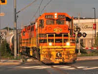 Goderich-Exeter Railway train 584 curves through Uptown Waterloo crossing the intersection of Erb and Caroline Streets under the newly installed light rail equipment as it heads north towards Elmira.