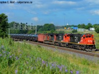 Alas, "The Berm" aka CN Snake - a great spot for photos after 9 AM and before 11 AM but sadly overrun with Ticks - really do NOT recommend anyone visit this spot, it's so badly infested I wouldn't even try it anymore. Lemonville rd is much safer for now. Here's train 710? (trying to hearken back 5 years) a typical oil train with buffer and cans passing a nice summer scene in Burlington with two '8-s in the lead. 