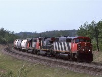 This is an interesting train. At first glance, I thought that it was a potash empty returning to Saskatchewan. But upon further review, I think that it is a phosphate load destined for Sherritt, a fertilizer plant, in Fort Saskatchewan (20 KM's NE of Edmonton). Those CN hoppers are what suggests this conclusion. I seem to recall that potash always moves in Campotex cars. Furthermore, I think that these hoppers are too big to be the ones used to carry lime (or is it limestone) to Inland Cement in Edmonton.
I sure wish that I head the train designation.
