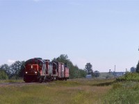 519 was the Edson Sub Local. I have only seen it a hand full of times. I don't know if it went all the way to Hinton, but I am pretty sure that it would hit Edson. Really, there were not that many customers along the line. 
I don't remember taking the picture, but there are so few bridges over the tracks, I think that I have the location down. I am virtually certain that the train is westbound.