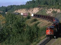 After seeing this photo, or one similar, Trevor Sokolan dubbed this as Waldron's Curve. 'Long story, but that is my wife's last name. I studied topographic maps to find this place (WAY before Google Maps)
Oncw again, taken near Seba Beach, on the NW end of Wabamun Lake.
404 was a regular sight on the Edson Sub. It ran from Vancouver to Edmonton's Clover Bar Yard with generally more chemical traffic than seen here. It doesn't usually have 6 locomotives up front, though. This must be a power transfer.