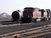 219, a priority train from Toronto, stops at Clover Bar Yard on the east side of Edmonton. Beside the auto racks, this train carries in a lot of chemicals.