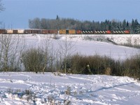 It looks like Edmonton won't have to worry about a green Christmas this year. The snow-mobilers seem to be enjoying the deep snow.
From down near the Sturgeon River, this is the view up on the west side of the valley as 419 climbs the hill. This near daily train out of Edmonton's Walker yard is on its way to McLennan. This is typical power, but when I first arrived in Edmonton, F units were still in used on this line.