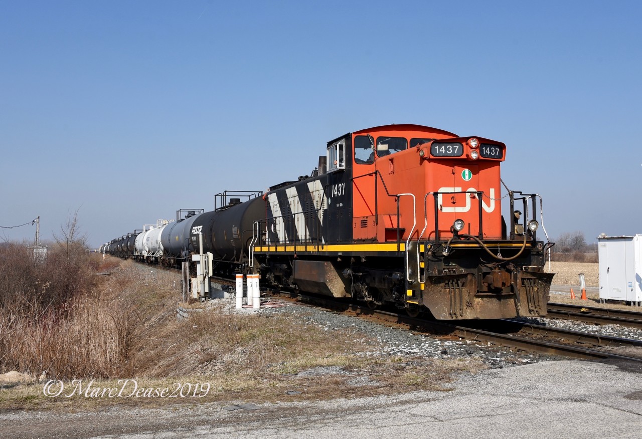 CN 1437 stretches out to Blackwell Sideroad to make a rare mid day switch at Procor in Sarnia.