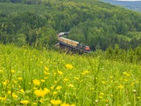 CN 2844 leads eastbound train 306, rumbling across the trestle at Saint Eleuthere, PQ. 