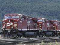 Three GE AC4400CW's, built in 1995, and seen here at CP's Golden B.C. Yard in June, 1997. A great yard to photograph from the perimeter. 

The 9555 was rebuilt in 2018 as AC4400CWM #8016, as was the 9561 which became #8051. The 9554 was delivered for rebuild in Texas in February 2019 ..... to the best of my knowledge.  