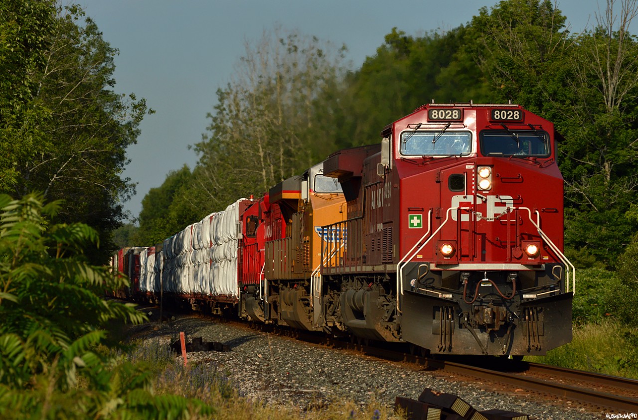 CP 119 blasts through Springwater approaching Midhurst with a colorful consist of CP 8028 (formerly 9575), UP 8200 and CP 4513 on the head end plus CP 8735 working mid train, cleared to MacTier on an already humid morning for 08:30, the dog days are here!