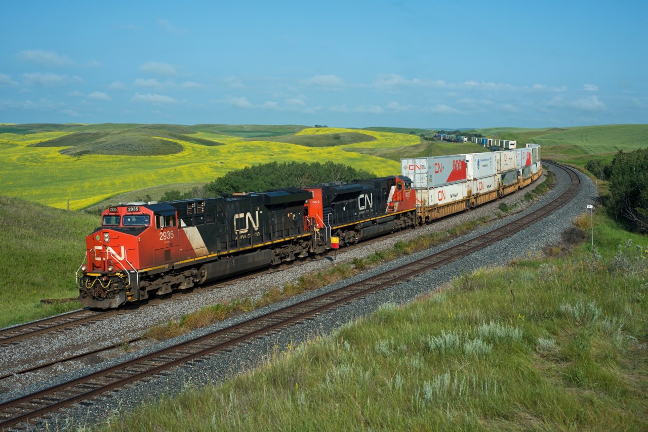 CN#118 coasts downgrade through Keppel Saskatchewan past the canola fields in full bloom. The track in the foreground is CP's Wilkie Sub. This area sees around 40 CN, and 4-6 CP trains per day making it quite the hot spot to watch trains in the summer months.
