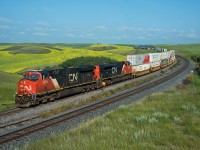 CN#118 coasts downgrade through Keppel Saskatchewan past the canola fields in full bloom. The track in the foreground is CP's Wilkie Sub. This area sees around 40 CN, and 4-6 CP trains per day making it quite the hot spot to watch trains in the summer months.  