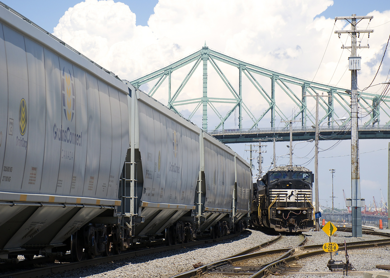 After bringing in a unit train of GrainsConnect cars (some seen at left), the power of CN 596 (NS 7219, NS 4028 & NS 9568) is stopped, awaiting the okay to leave the Port of Montreal light power. In the background is the Jacques-Cartier bridge.