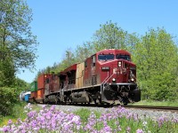 This shot took many attempts over the course of the week to get the sun just right and then some descent power to go along. One of the few remaining out of the original twenty Vancouver Olympic trains fit the bill. CP 8876 leads CP 9816 out of Guelph Junction on their way south to Hamilton. 