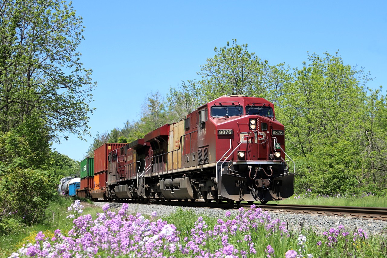 This shot took many attempts over the course of the week to get the sun just right and then some descent power to go along. One of the few remaining out of the original twenty Vancouver Olympic trains fit the bill. CP 8876 leads CP 9816 out of Guelph Junction on their way south to Hamilton.