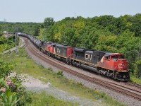 An eastbound CN train over 90% tank cars is moving again after halting briefly near the signals at the west end of CN Bayview (Junction).<br><br>
Second unit BCOL 4615 now wears the WWW.CN.CA scheme (in capitals). <br> There's no buffer car before the head end tank cars and no hazmat placards, so I think they are empty. <br> Further back were covered hoppers (buffer cars) before another set of tanks - placards included 1075 (liquified petroleum gas) and 1005 (ammonia). I recall there were also several flatcar loads of truck frames, more tank cars, and one or more covered hoppers at end of train. <br> 
Think I heard 602 axles from Oakville sub mp33 detector, which equals 3 x 6-axle locos and 146 x 4-axle cars. 