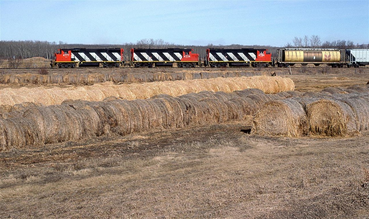 550 is approaching Mirror where it will spend a couple hours switching the yard before striking out west on the Brazeau Sub..
Multiple generations of hay cuttings dominate the foreground. Do they get 2 harvests a year? Judging by the shape of the bails, I would guess not.