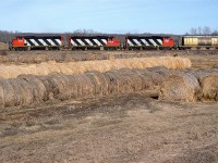 550 is approaching Mirror where it will spend a couple hours switching the yard before striking out west on the Brazeau Sub..
Multiple generations of hay cuttings dominate the foreground. Do they get 2 harvests a year? Judging by the shape of the bails, I would guess not.