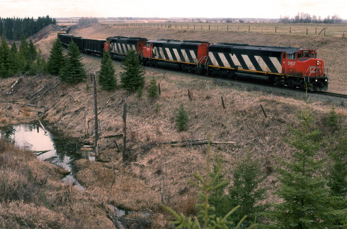 By the time we reached this location, the sunshine was all gone. 
Here, the train has come through the Battle River valley (just past where the train disappears), and is about to crest the hill. CN uses the former Canadian Northern routing through this area to get down to Ferlow Junction (probably not a junction at the time) in the valley. They stayed in the valley and proceeded SE. Grand Truck Pacific also came through here, but rather than crawling in and out of the valley, they constructed a huge wooden trestle across the depression.That trestle would end about where the last of the train can be seen. With the formation of CNR, the GTP trestle was abandoned, and the line was built to connect the tracks seen here to Ferlow Junction in the valley.