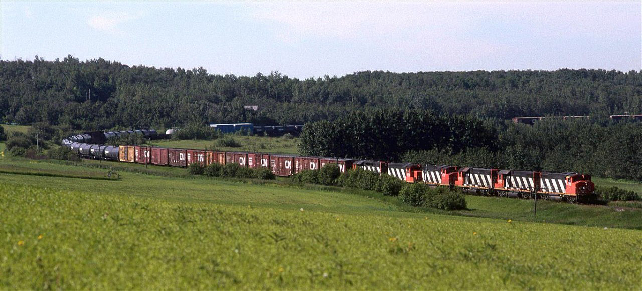 This is the beginning of a long day out with Fred Clark.
We heard that the 419 was about to leave, so we went north of the city and walked into the Sturgeon River Valley. This sweeping view shows the train on the descent, before the river crossing on a wood trestle.
The excess power up front isn't there to tackle stiff grades (though there a few). In all likelihood, they are simply transferring power back to Smith that had been in Walker Shops.