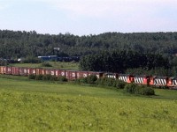 This is the beginning of a long day out with Fred Clark.
We heard that the 419 was about to leave, so we went north of the city and walked into the Sturgeon River Valley. This sweeping view shows the train on the descent, before the river crossing on a wood trestle.
The excess power up front isn't there to tackle stiff grades (though there a few). In all likelihood, they are simply transferring power back to Smith that had been in Walker Shops.