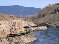 A little closer to Savona than Walhachin, This westbound CN manifest train rides a bench along the Thompson River.