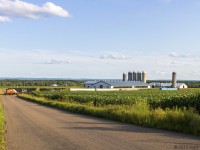 With the sun a few hours away from setting, train 406 is eastbound, passing the farms and corn fields of Southern New Brunswick. 