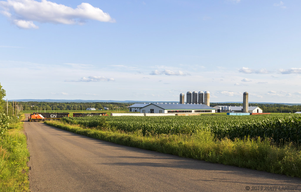 With the sun a few hours away from setting, train 406 is eastbound, passing the farms and corn fields of Southern New Brunswick.