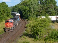 The 3 GE’s could be heard miles in advanced pulling CN 435 up into Paris Junction. It navigates the S curves just east of the Junction at a steady 45 mph and the ear piercing squealing from the flanges against the curves was all you could hear for minutes