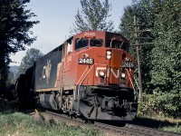 CN 2445, a GE C40-8M, is eastbound as it emerges from the shadows and through the village of Popkum on CN's Yale Sub. 