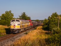 With a crew ordered at Mactier for 0400, the odds of Canadian Pacific's RCP train making Toronto in daylight looked slim. Sometimes, though, the best bet is to take a gamble. At least that is what I told myself as I set off for CP's Mactier Subdivision under the cover of darkness. Arriving at Mile 23 well before sunrise, anticipation grew with the passage of each train that ran ahead of 40B as night gave way to dawn and eventually the first rays of light. Almost three hours and three freight trains later, CP 4107 called a clear signal on the approach to Bolton, racing towards Toronto in glorious morning light. Sometimes you just get lucky.