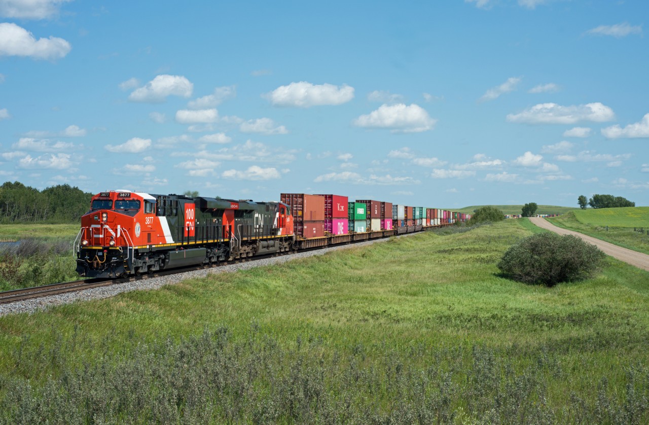 CN 3877 leads 183 just east of the siding at Newton (formerly Neola). I can't say I'm a fan of the "swim cap" or the 100 logo, but at least its clean.