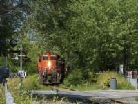 CN 7229 (& CN 4700, out of sight and trailing) lead a short transfer out of the Port of Montreal on a sunny afternoon as it approaches a crossing and passes underneath a wall of branches.