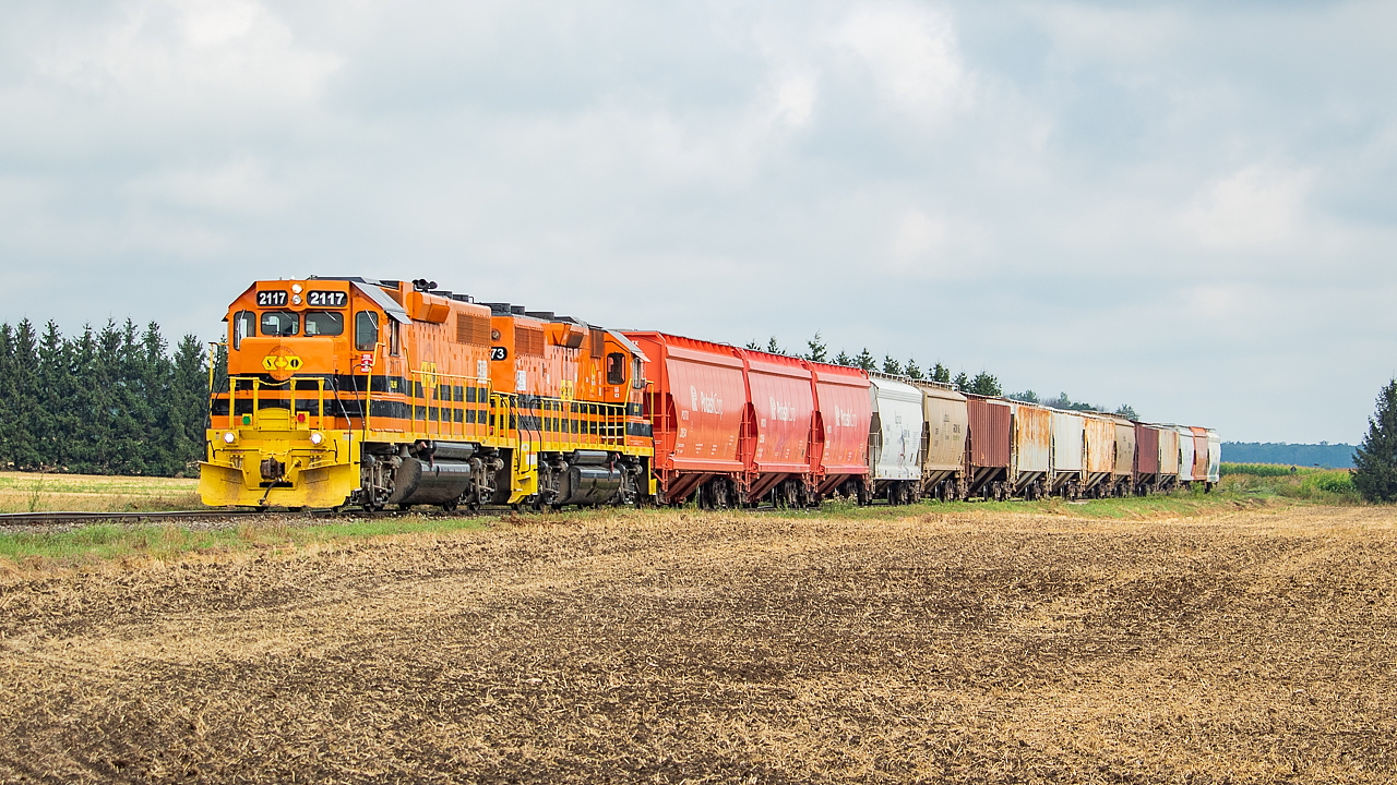 I was in the London area all weekend for a wedding Saturday night, and planned to get some railfanning done in the area on Saturday and Sunday. My plan for Saturday was to head down to Chatham for 514, but found out on Friday night that they could not get a crew for it so had to change my plans. This is now the third time this summer I have hoped to chase a 514 on Saturday but was unable to - it would appear that this train is getting a little less predictable. I changed my plans and went out in London first thing in the morning, seeing a couple of CP and CN trains early on, before getting bored of the mainline (which is often the case for me) and heading up to Stratford to try and find GEXR which had now become my Plan B. I got there around 0830, but they had already departed, so I followed the Goderich Sub westward and came across them around 0900 just west of Mitchell. I followed them westward to Clinton where they turned south onto the Exeter Sub and headed for Hensall. They had 15 potash loads in tow for the entirety of their journey (did no work on the westward journey on the Goderich), and set those off in Hensall at the elevator facilities on the north side of King Street. They then proceeded to Thompsons on the south side of King Street and lifted three hoppers for the return trip. All in all, they made relatively good time to Hensall, and it was 1130 but the time they had tied onto the three hoppers at Thompsons. Having already shot the southbound trip at every level crossing on the slow going Exeter Sub, I called it a day at that point and headed back to London to get ready for the wedding.