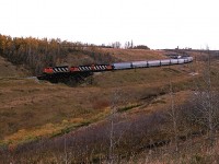 In spite of the miserable clouds, I shot the 550 as it worked further down the Camrose creek valley. This train will work Mirror, and then head out the Brazeau sub, when it will service the industries out that way and switch Red Deer.
The engines are on the 4th of nine wooden trestles in this small valley. The train is on the 3rd trestle, but it is in the hidden part of the train.