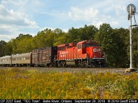 CP Track Geometry Train, with CP 2227 on point, sits at the east end of Belle River Siding waiting on the Conductor to throw the switch so that they can proceed east on September 24, 2019.
