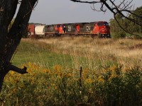  The dead tree framing train 383 seems symbolic considering autumn has just begun and soon most of the trees here will soon look the same. Today a pair of consecutively numbered former Santa Fe Dash-8's (2147 & 2148) lead the westbound as it passes through Tansley near the north end of Burlington.