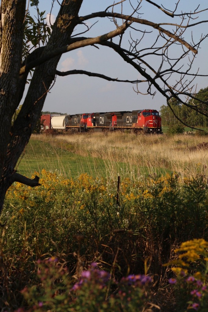 The dead tree framing train 383 seems symbolic considering autumn has just begun and soon most of the trees here will soon look the same. Today a pair of consecutively numbered former Santa Fe Dash-8's (2147 & 2148) lead the westbound as it passes through Tansley near the north end of Burlington.
