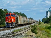 ES44AC CN 2978 is rear DP on an eastbound Campotex unit train heading through Acheson.