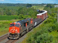 Canadian National Railway train M 36921, a long haul freight bound for Toronto's MacMillan Yard from Chambord, Québec, is 8,376-feet (1179.5 meters) long.  Lead engine CN ET44AC 3117 (with a damaged left numberboard) and ES44AC 2888 are able to handle this train's 56 loads and 72 empties (weighing 9,400 tons) with ease as it passes through the countryside near Newtonville, Ontario, on August 25, 2019.  