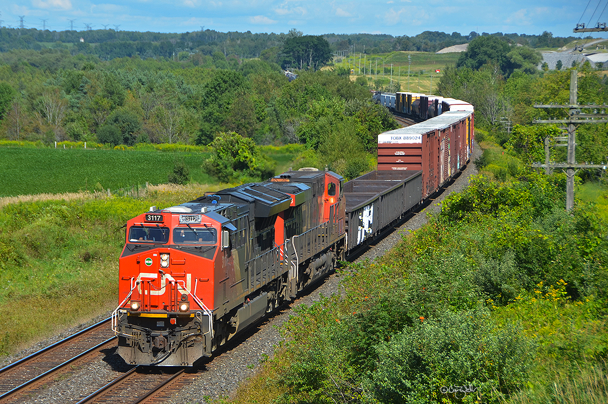 Canadian National Railway train M 36921, a long haul freight bound for Toronto's MacMillan Yard from Chambord, Québec, is 8,376-feet (1179.5 meters) long.  Lead engine CN ET44AC 3117 (with a damaged left numberboard) and ES44AC 2888 are able to handle this train's 56 loads and 72 empties (weighing 9,400 tons) with ease as it passes through the countryside near Newtonville, Ontario, on August 25, 2019.