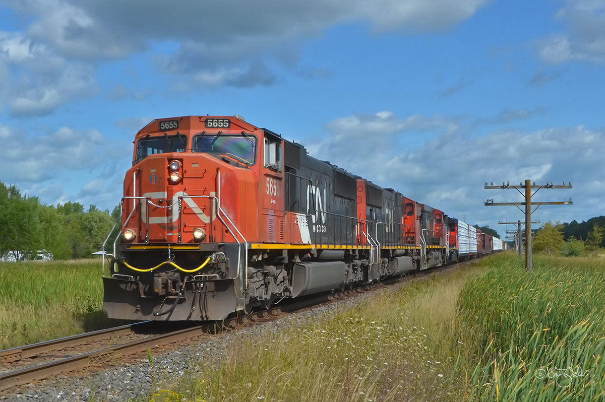 Canadian National Railway SD75I 5655, SD75I 5769, Dash 9-44CW 2583 and GP38-2 7508 bring train M 31441 through Georgina, in Ontario's York District.  This freight train is heading to Toronto's MacMillan Yard (CN's second-largest yard), having originated in Winnipeg's Symington Yard (CN's largest yard).  (August 30, 2019)