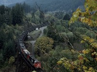 CN 5663 with the 2433 and 5407 trailing are eastbound and hauling an empty coal train over the Anderson Creek Viaduct at MP 2.0 just west of Boston Bar. The creek flows into the Fraser River here and it's banks can be accessed by a road and trails on both sides. Signs posted on the structure warn visitors to watch for falling debris. 






   