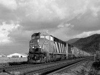 CN 2420 and 2454, two GE C40-8M's, are westbound at Sumas Mountain on CN's Yale Sub. Kodachrome 200.