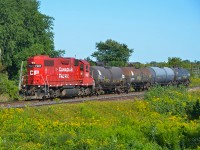Canadian Pacific local T10 heads west through Lovkin, at milepost 155.6 on the Belleville Subdivision.  CP GP38-2 7307 is returning to the yard in Oshawa, ON, with four tank cars.  This locomotive is the former Delaware & Hudson 7307, ex-D&H 226, ex-D&H 7320, originally Lehigh Valley 320.  In February 2003, 16½ years earlier, I photographed this engine in Albany, NY, painted in the then-current "Golden Beaver" scheme.  (Newcastle, Ontario - August 25, 2019)