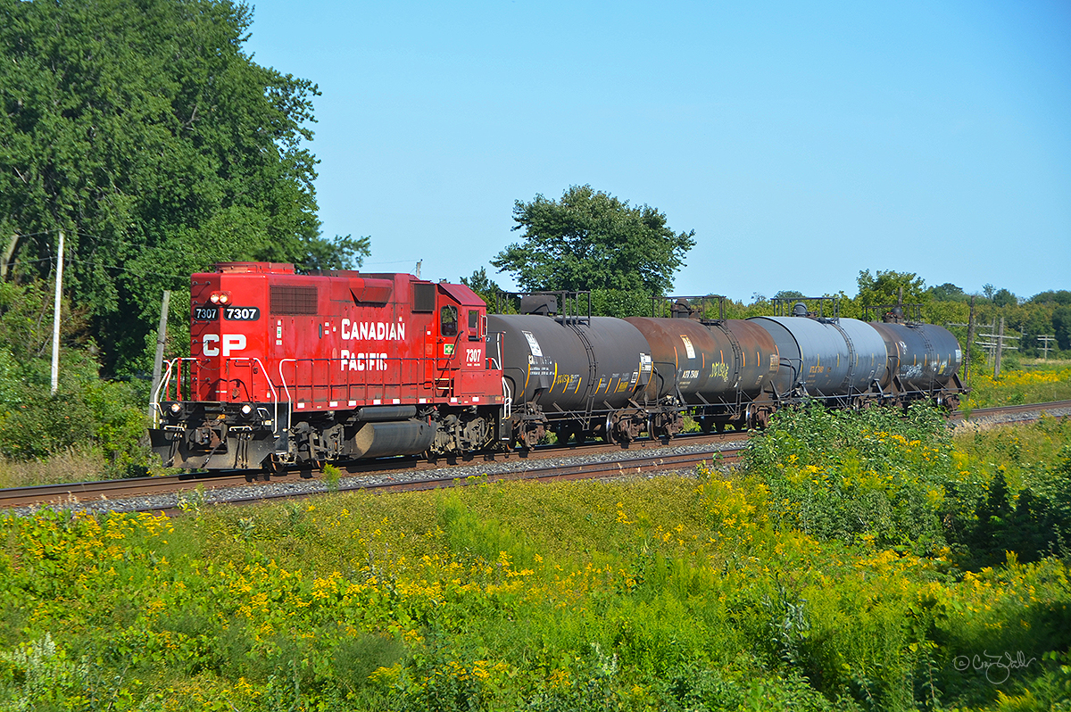 Canadian Pacific local T10 heads west through Lovkin, at milepost 155.6 on the Belleville Subdivision.  CP GP38-2 7307 is returning to the yard in Oshawa, ON, with four tank cars.  This locomotive is the former Delaware & Hudson 7307, ex-D&H 226, ex-D&H 7320, originally Lehigh Valley 320.  In February 2003, 16½ years earlier, I photographed this engine in Albany, NY, painted in the then-current "Golden Beaver" scheme.  (Newcastle, Ontario - August 25, 2019)