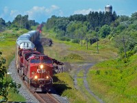 Canadian Pacific train 142 heads east through Newtonville, Ontario, on the CP’s Belleville Subdivision, three miles east of Lovekin.  This manifest, powered by AC4400CWM 8119 (formerly CP AC4400CW 9619) and ES44AC 8809, is heading from Schiller East IMF (in Schiller Park, just west of Chicago, Illinois) to Hochelaga, Québec (in suburban Montréal) – a distance of 850 miles (about 1368 km) or so.  (August 25, 2019)