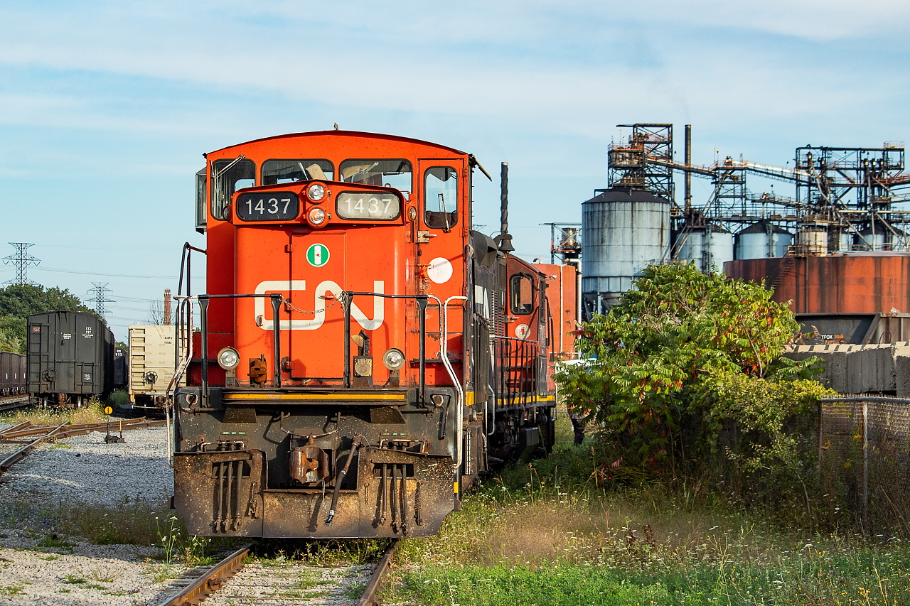 With Columbian Carbon providing the backdrop, the 1600 Yard Job proceeds slowly down track AG47 into Triple M Metals. Before coming here, they'd set their train off behind Dofasco, in between Strathearne Ave and Kenilworth Ave (either on track AF31 or AF90) and ran back around their train and then up to the Strathearne Yard area light power. Their train wasn't very big - a couple of hoppers to be cut up and some empty gons for Triple M - but Strathearne Yard was pretty full, so presumably they did not have space for their train until they made some moves. Triple M was the first move here, where they lifted three loaded scrap gons (old Sultran cars). They then tied onto AIM gons on track AG52 in Strathearne Yard and then the crew walked down to the east end of Strathearne Yard where they stayed for some time, resulting in a long period of inactivity. The sun was getting low in the sky at that point so I called it a night.