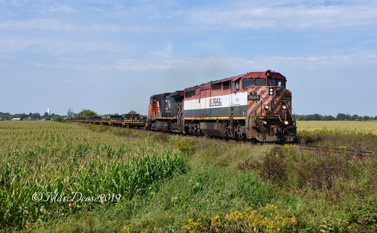 BCOL 4624 leads train 509 east through Wyoming, ON., back to London on a beautiful late summer day.