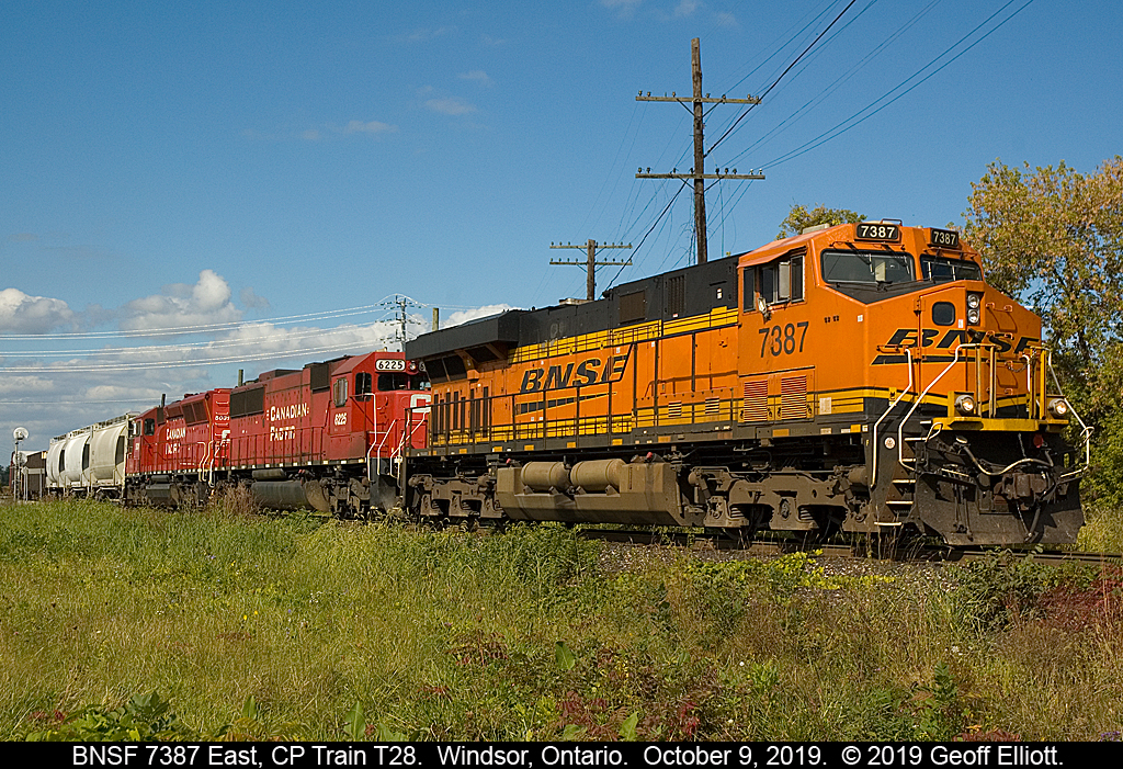 BNSF 7387 heads up CP Transfer run T28 as it backs into Windsor Yard on October 9, 2019.  CP SD60 6225 and SD30Eco 5031 round out the trio for today's run.